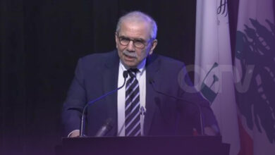 سلسلة لقاءات لسلام في السراي