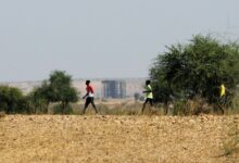 ما صحة الحديث عن صيف 2025 ؟ هل هو فعلا “الأكثر حرارة”؟