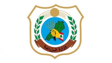 وزارة الزراعة: لا صحة للأنباء عن انتشار أوبئة تصيب المواشي والدواجن في لبنان