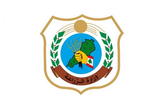 وزارة الزراعة: لا صحة للأنباء عن انتشار أوبئة تصيب المواشي والدواجن في لبنان