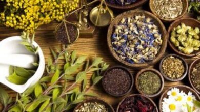 اعشاب مهمة تساعد الطلاب على الحفظ والتركيز