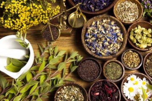 اعشاب مهمة تساعد الطلاب على الحفظ والتركيز