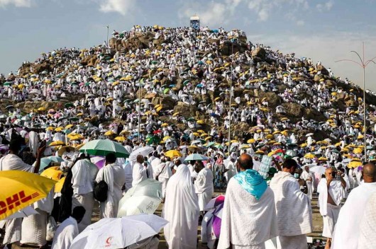 حجاج بيت الله يفدون إلى عرفة لأداء ركن الحج الأعظم