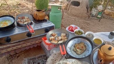 كيف نضمن سلامة الغذاء في الرحلات والنزهات؟
