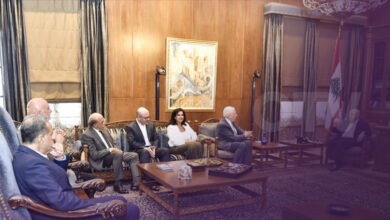 بري يستقبل رئيس واعضاء نقابة المستشفيات في لبنان