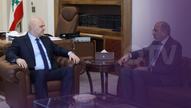 عون يبحث وريزا في عمل المنظمات الدولية في لبنان