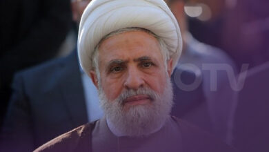 قاسم: المقاومة ليست بديلة عن الجيش لكن تسانده..ولا “خطوة مقابل خطوة”