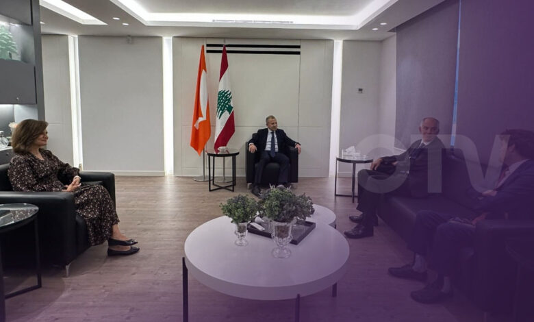 باسيل يلتقي ماغرو