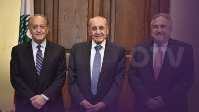 بري يبحث مستقبل الطيران المدني مع زواره ويلتقي فمهي