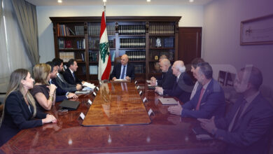 شحادة من بعبدا: عرضنا مشروع قانون لإنشاء وزارة مستقلة