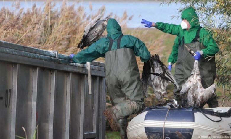 المفوضة الأوروبية: السلام في غزة قد يتطلب تغيير القيادة الإسرائيلية