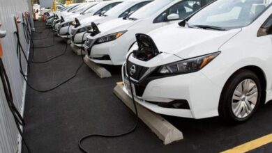 شهداء الدفاع المدني: بلسموا الجراح وارتقوا بالشهادة