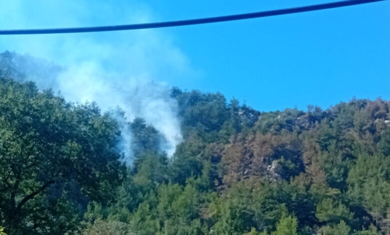 حريق دبعل – بيت حاويك بجرود الضنية اشتعل مجددا