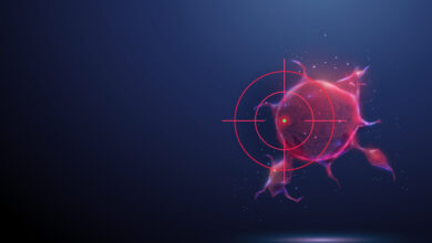 المفتي الجعفري يحذّر من صفقة على حساب الطائفة الشيعية ويشدّد على حماية لبنان