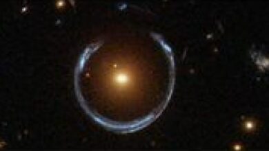 الاتحاد العمالي العام يعلن تضامنه مع الجامعة اللبنانية ويشدد على حمايتها من الإساءة