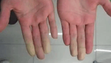 المفتي عبد الله: لا نريد امتيازات طائفية أو مناطقية بل وطناً يحمي الجميع