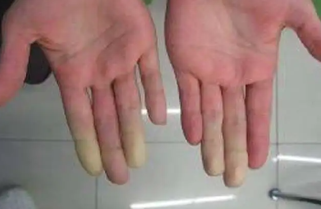 المفتي عبد الله: لا نريد امتيازات طائفية أو مناطقية بل وطناً يحمي الجميع