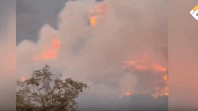 بالارقام.. الانتخابات النيابية في العراق