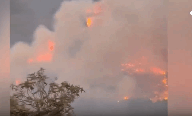 بالارقام.. الانتخابات النيابية في العراق