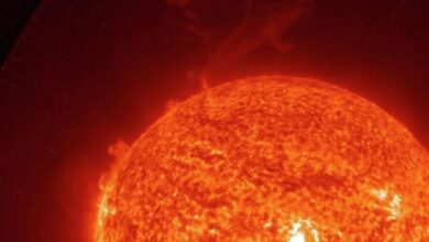 الشيخ ياسين اكد ضرورة تركيز المسؤولين على كيفية حماية الوطن