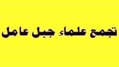 “علماء جبل عامل” للبابا: لتحريك الضمائر الدولية لتعزيز صمود اللبنانيين بمواجهة الاعتداءات الإسرائيلية