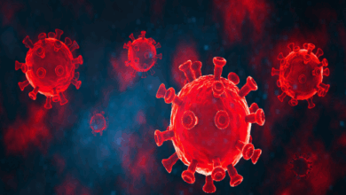 الجزائر تمتنع عن المشاركة في التصويت على مشروع القرار الأمريكي حول الصحراء الغربية.. والمغرب ترحب