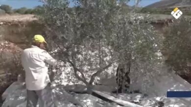 وفد قيادي من حماس يلتقي وزير الخارجية التركي