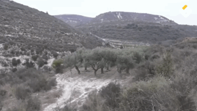 ناشطون بيئيون يطالبون بعدم تجديد عقد شركة الترابة الوطنية