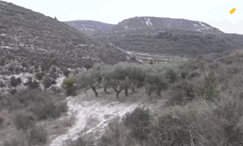 ناشطون بيئيون يطالبون بعدم تجديد عقد شركة الترابة الوطنية