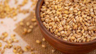 جبهة العمل الإسلامي في ذكرى “وعد بلفور”: ما ضاع حق وراءه مطالب