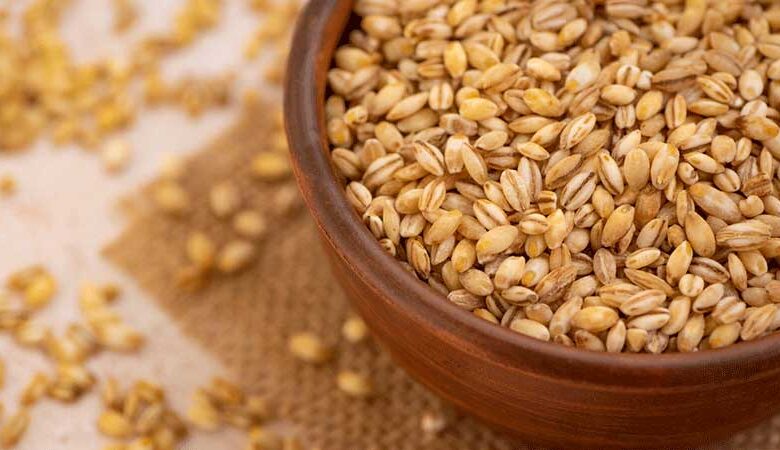 جبهة العمل الإسلامي في ذكرى “وعد بلفور”: ما ضاع حق وراءه مطالب