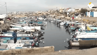 إطار قانوني جديد يفتح آفاق الاستثمار في الثروة السمكية