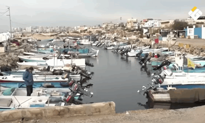 إطار قانوني جديد يفتح آفاق الاستثمار في الثروة السمكية