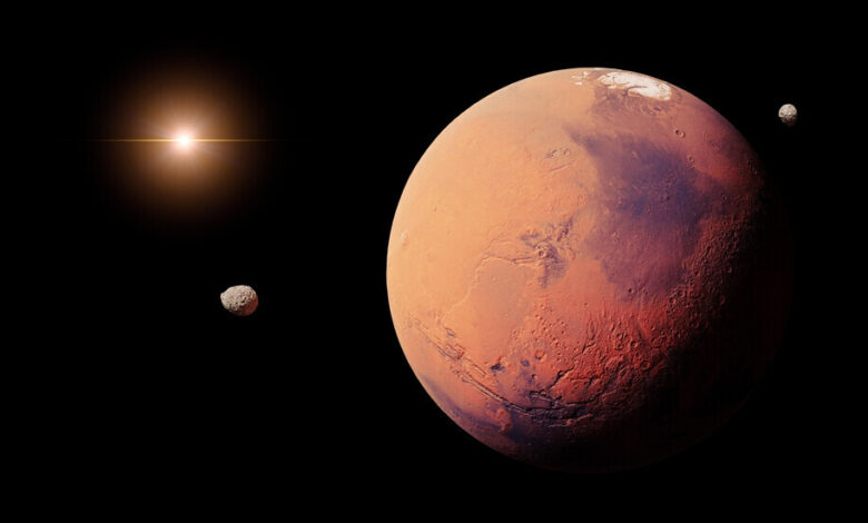 ثورة طبية.. الذكاء الاصطناعي يكشف سرطان الكلى في وقت قياسي