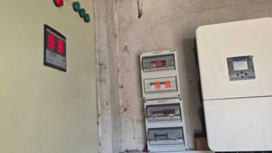 أخطر الكائنات الحية في العالم طولها سنتيمتر واحد