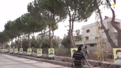 بلدية لبايا تعتمد قطاف الصنوبر مورداً مالياً لدعم صندوقها البلدي