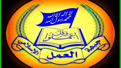 روسيا تعلن سيطرتها على بلدتي ميرنوغراد وغوليوبول في شرق أوكرانيا