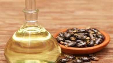 الرئيس بري تابع مع زواره الاوضاع العامة والمستجدات