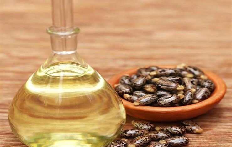 الرئيس بري تابع مع زواره الاوضاع العامة والمستجدات