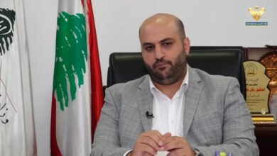 ناصر الدين: لبنان أمام فرصة للتقدم من خلال الصحة الرقمية