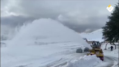 نيوزيلندا وأستراليا تستقبلان العام الجديد 2026 بعروض للألعاب النارية