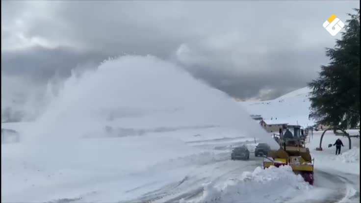 نيوزيلندا وأستراليا تستقبلان العام الجديد 2026 بعروض للألعاب النارية