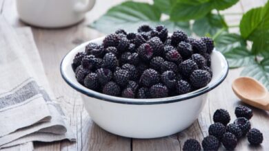 استمرار إضراب موظفي التعليم العالي غدًا وتعطّل تسليم المعادلات