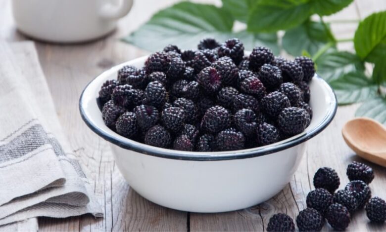 استمرار إضراب موظفي التعليم العالي غدًا وتعطّل تسليم المعادلات