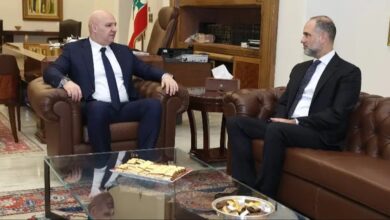 روبوت أصغر من حبة ملح يفكر ويتخذ ردود أفعال