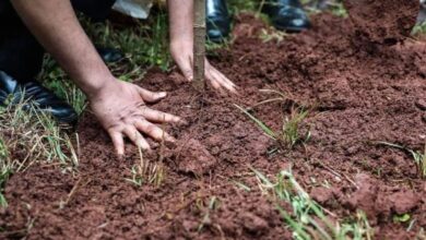 لقاءات سياسية في عين التينة
