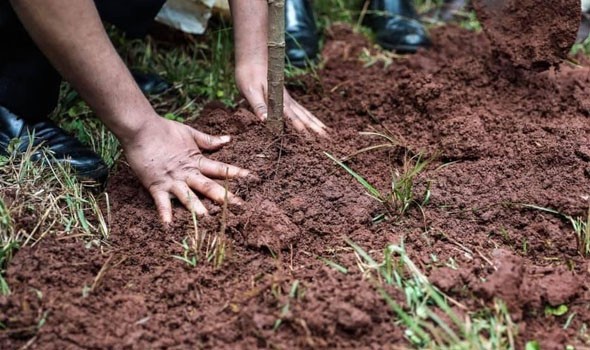 لقاءات سياسية في عين التينة