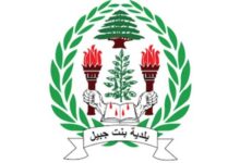 بالفيديو