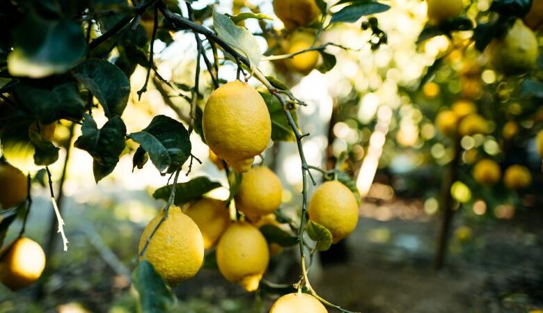 الطقس في لبنان..