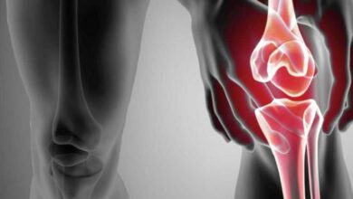 الرئيس نبيه بري يبرق لسماحة المرجع الاعلى آية الله السيد علي السيستاني معزياً بوفاة شقيقه آية الله السيد هادي السيستاني